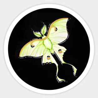 Luna Moth Circle Sticker